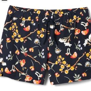 The North Face Class V Shorts